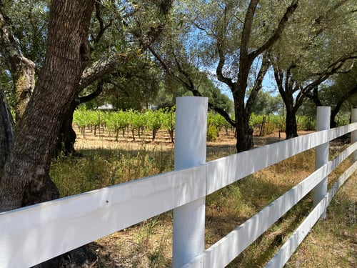 Fence Installation